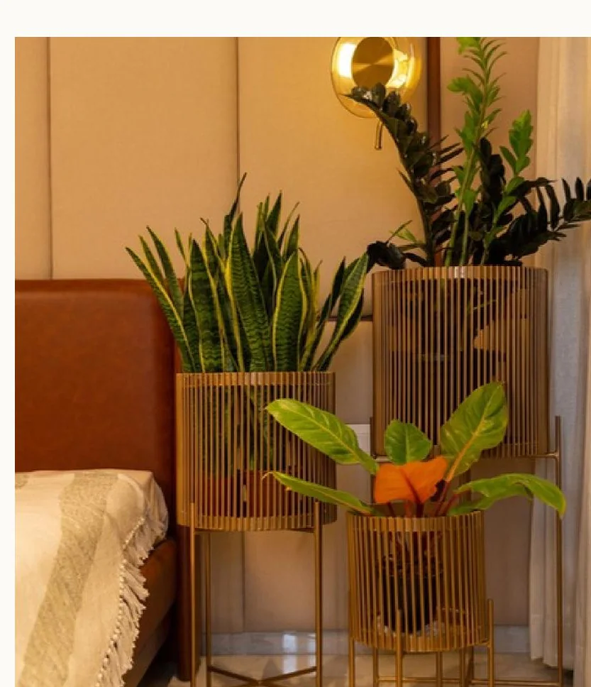 Quest planter