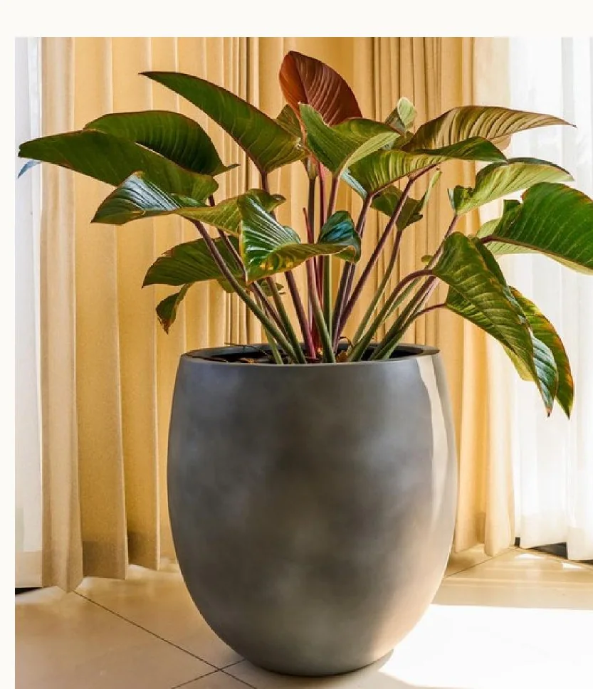 Zia planter by Grass Feathers