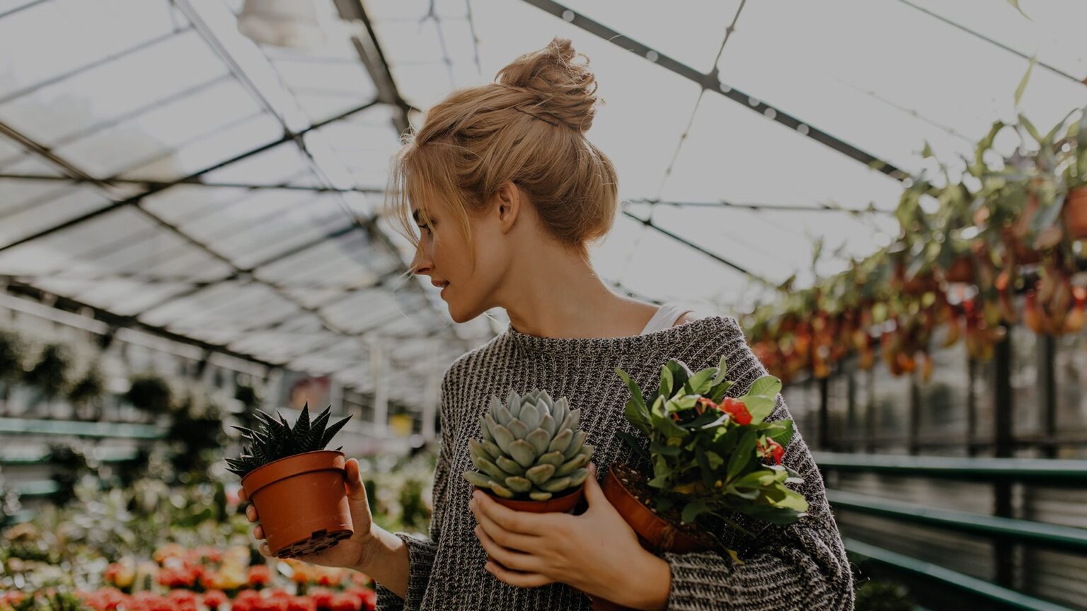 slider-10-3-1536×864