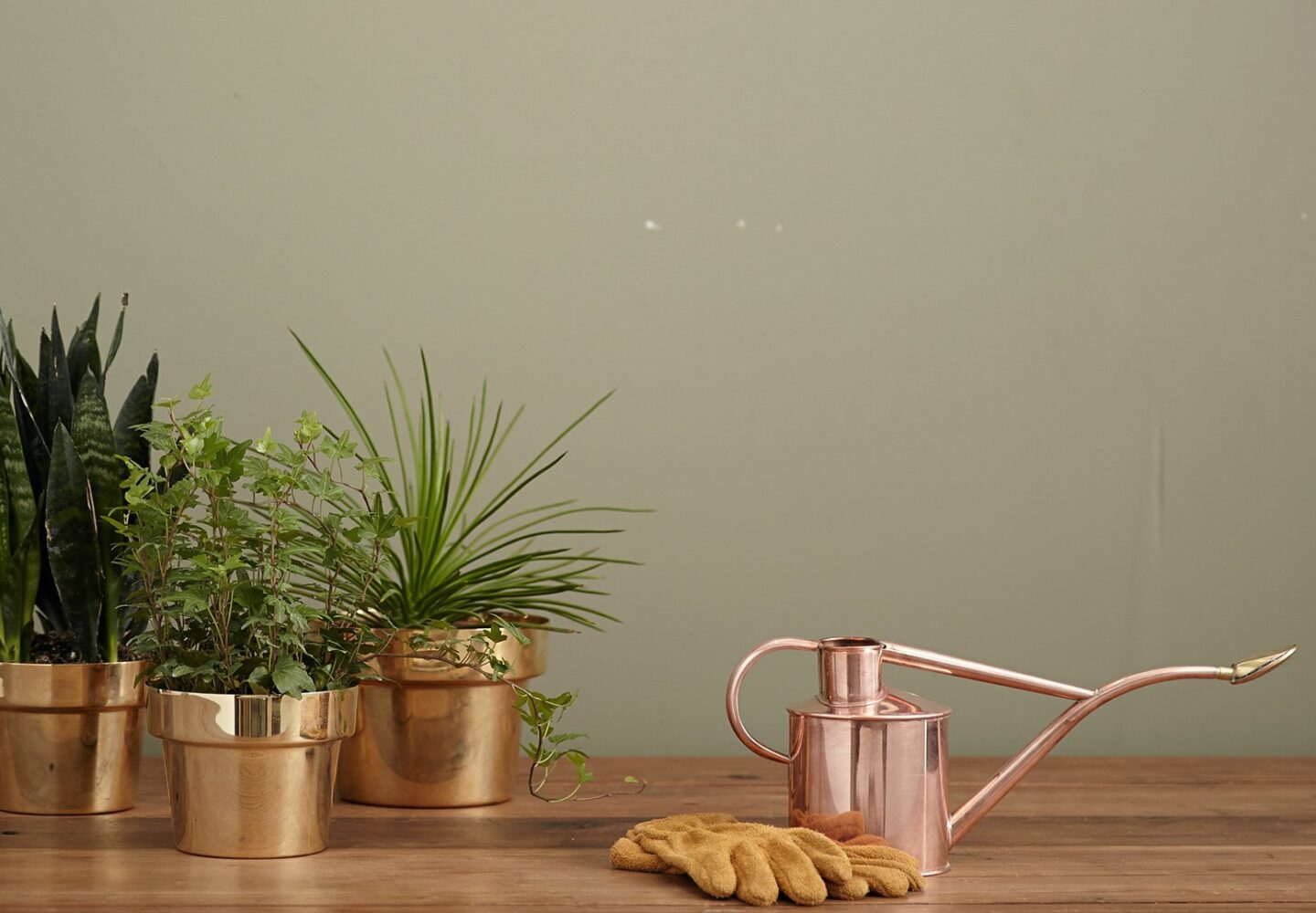 slider-10-4-1440×1000