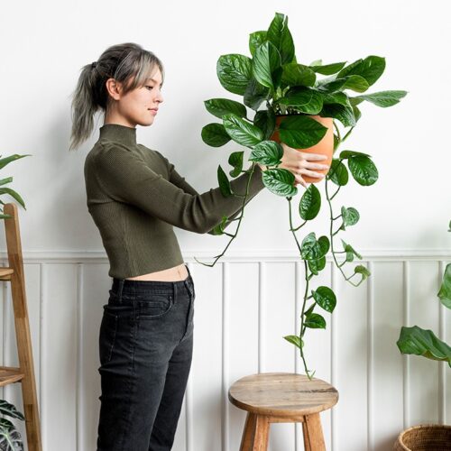 slider-10-7-500×500