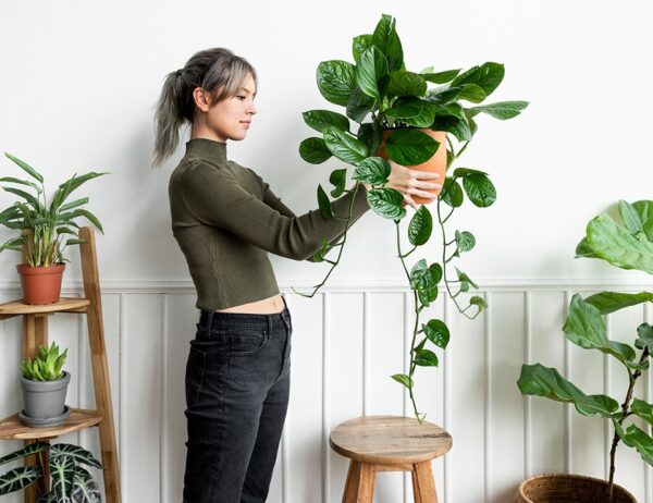 slider-10-7-600×462