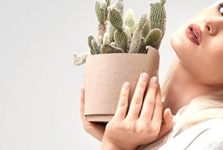 Indoor Plant Décor Ideas: Styling Your Living Room & Balcony