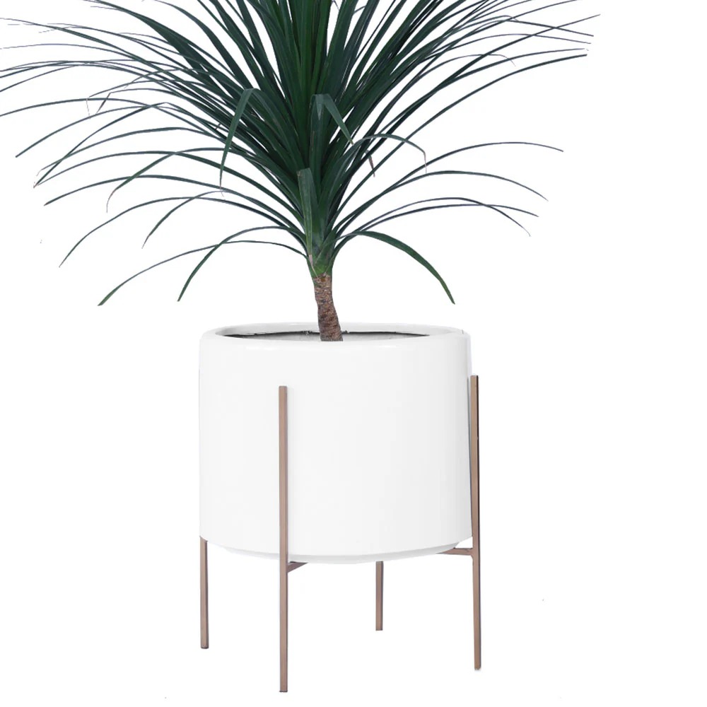 imgi_57_Whirlpool-White-Glossy-With-Gold-Stands-CloseUp