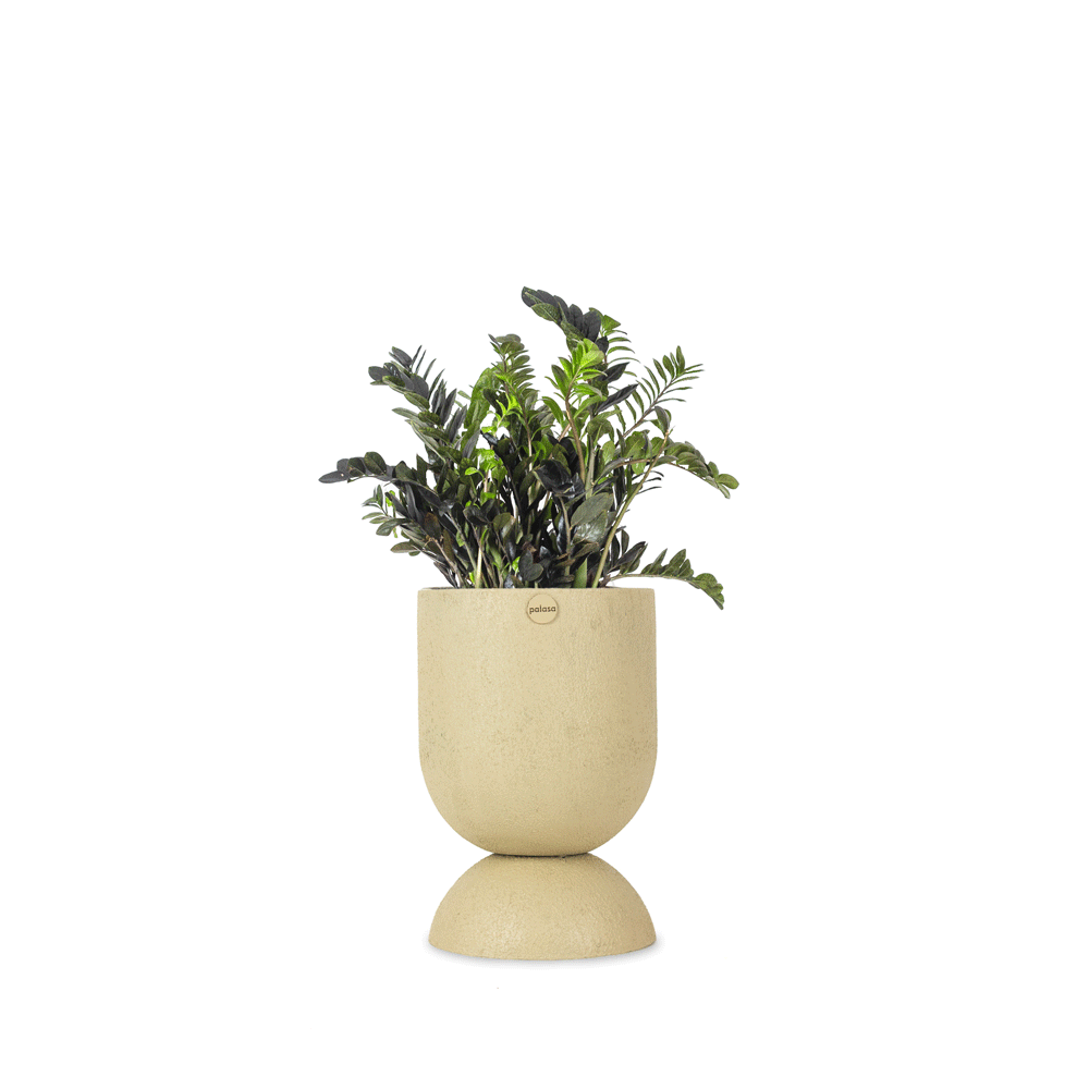 8.Hourglass Small2